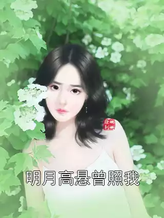 明月高悬曾照我