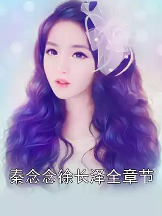 秦念念徐长泽全章节小说