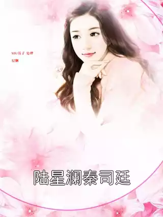 陆星澜秦司廷小说
