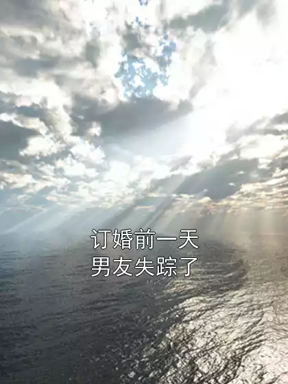 订婚前一天男友失踪了小说