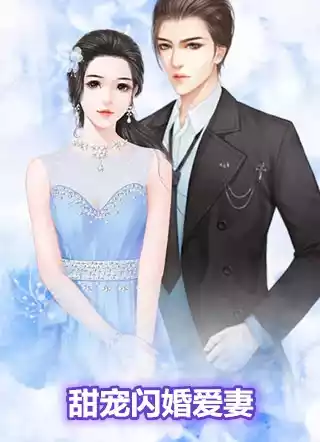 甜宠闪婚爱妻小说