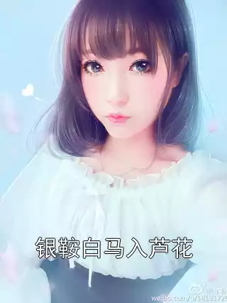 银鞍白马入芦花小说