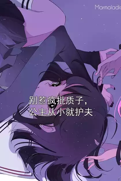 别惹疯批质子，公主从小就护夫