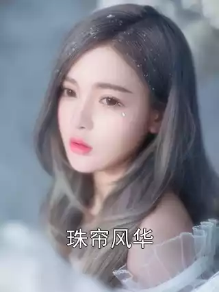 珠帘风华小说