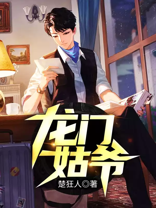 龙门姑爷小说