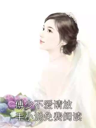 傅少不爱请放手小说免费阅读