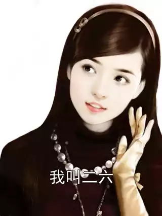 我叫二六小说