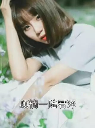 顾楠一陆君泽小说