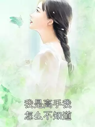 我是高手我怎么不知道小说