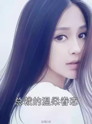 总裁的温柔眷恋小说
