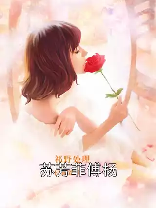苏芳菲傅杨小说