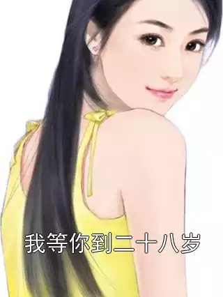 我等你到二十八岁小说