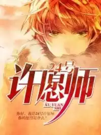 24号许愿师小说