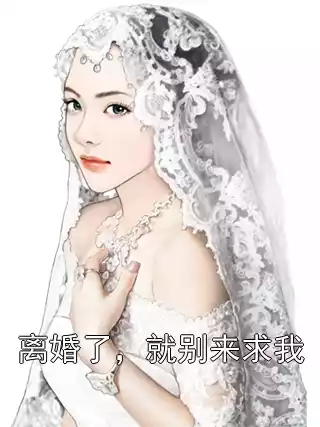 离婚了，就别来求我小说