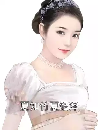 夏知竹夏绍泽小说