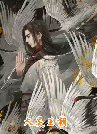 大昊王朝小说