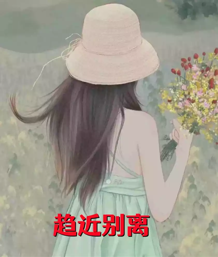 趋近别离小说