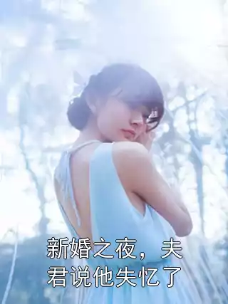 新婚之夜，夫君说他失忆了小说