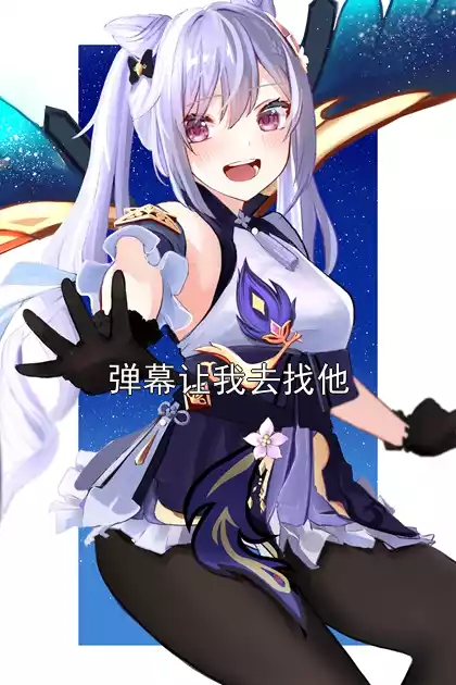 弹幕让我去找他小说