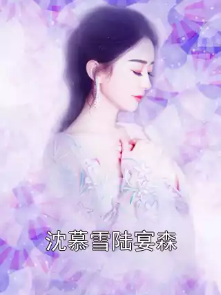 沈慕雪陆宴森
