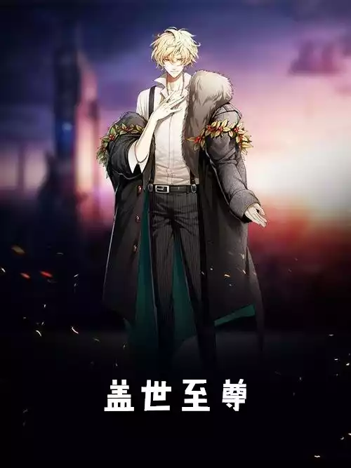 盖世至尊小说