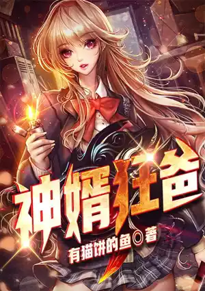 神婿狂爸小说