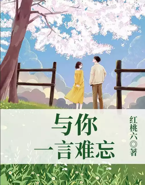 与你一言难忘小说