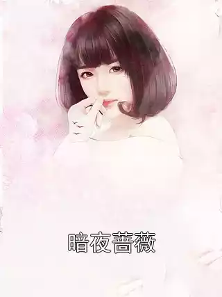 暗夜蔷薇小说