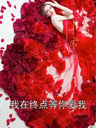 我在终点等你爱我小说