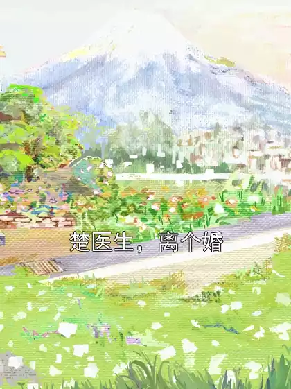 楚医生，离个婚小说