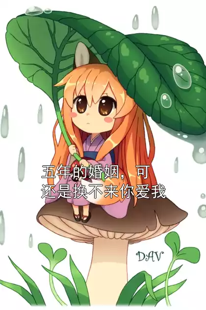 五年的婚姻，可还是换不来你爱我小说