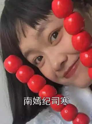 南嫣纪司寒小说
