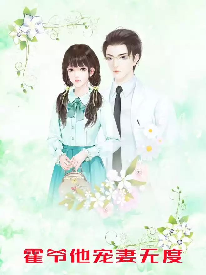 霍爷他宠妻无度小说