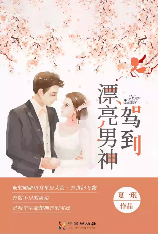 漂亮男神驾到小说