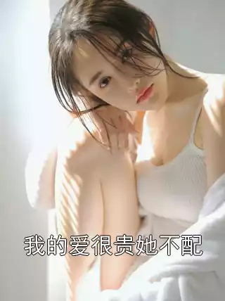 我的爱很贵她不配小说