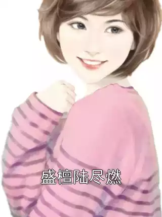 盛檀陆尽燃小说