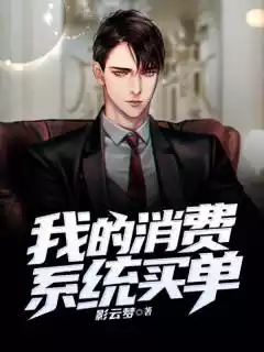 我的消费系统买单小说