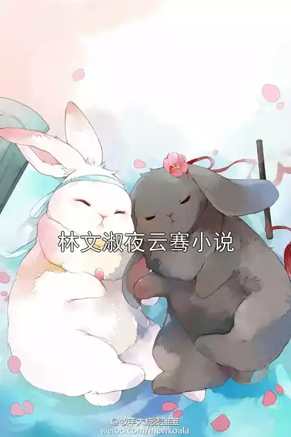 林文淑夜云骞小说小说