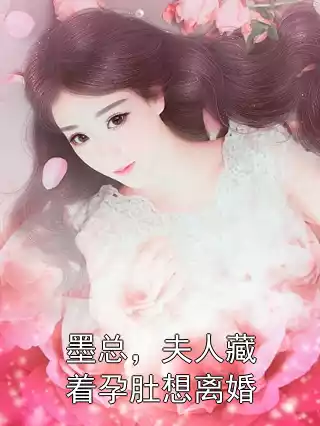 墨总，夫人藏着孕肚想离婚小说