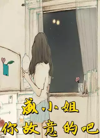 盛小姐你故意的吧小说