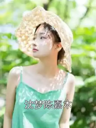 沈梦陈嘉木小说