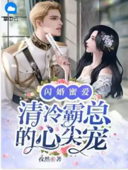闪婚蜜爱清冷霸总的心尖宠小说