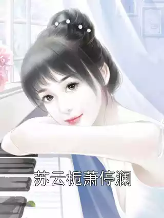 苏云栀萧停澜小说