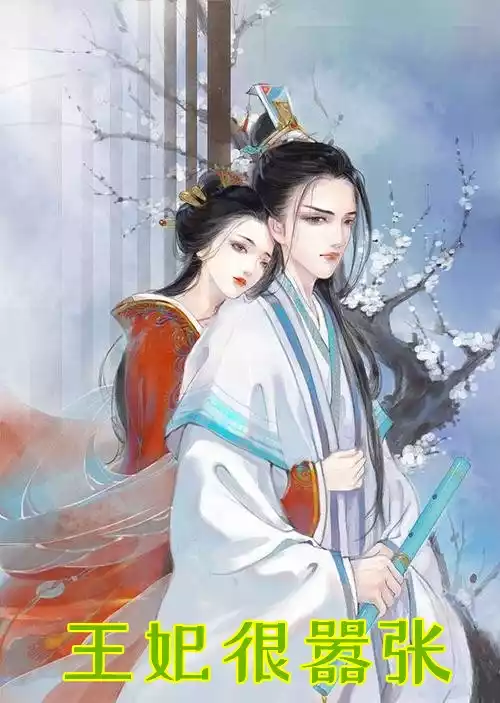 王妃很嚣张小说