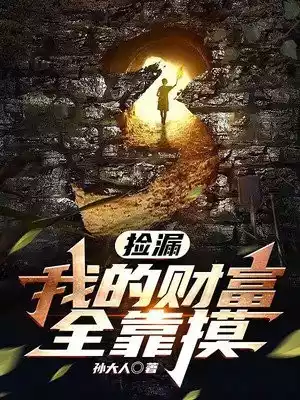 捡漏我的财富全靠摸小说