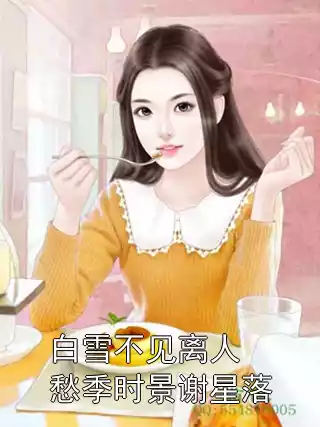 白雪不见离人愁季时景谢星落