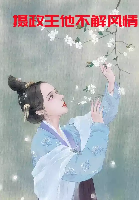 摄政王他不解风情小说