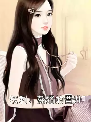 权利：赘婿的晋升小说