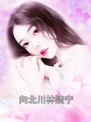 向北川林婉宁小说