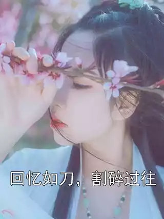 回忆如刀，割碎过往小说